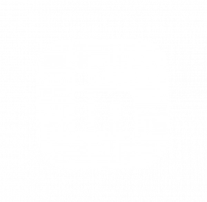 Olson Icons - in-10